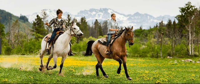 Confident plus-size woman riding Milngavie a horse through a field with a smile on her face.